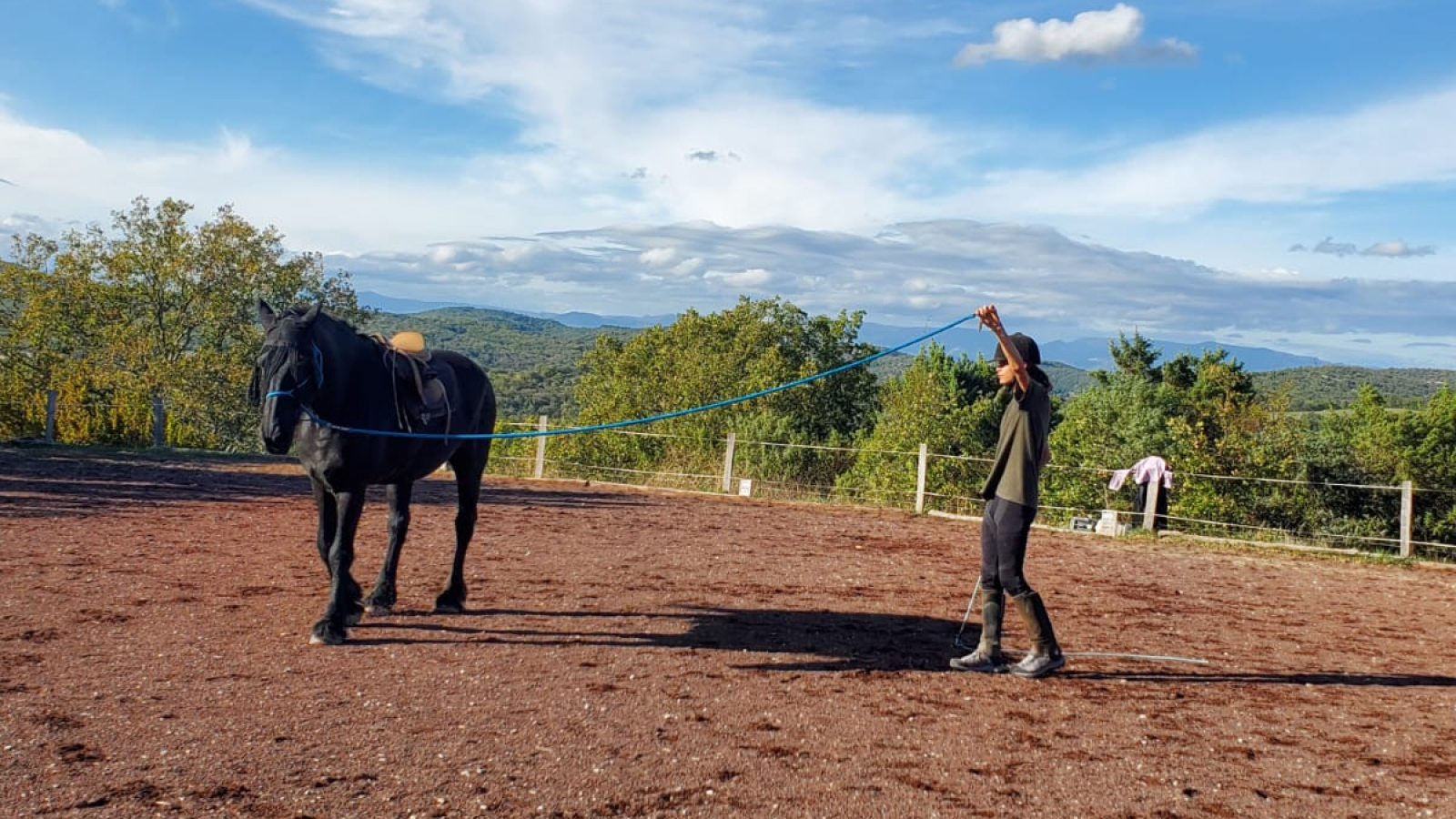 Equitation éthologique