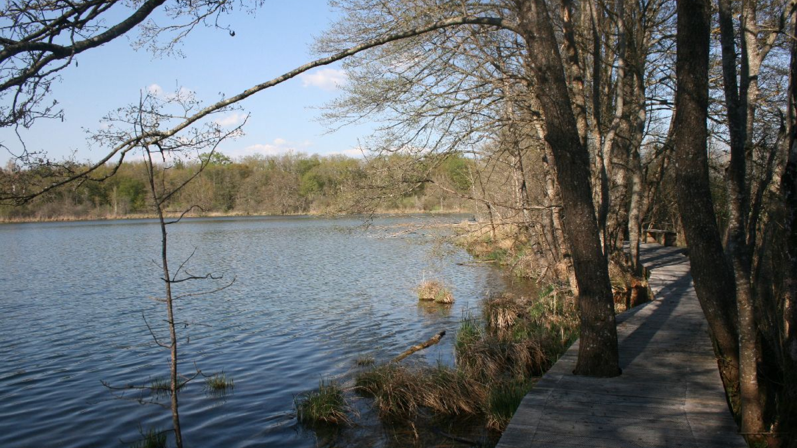 Espace Naturel Sensible de la Save - Lac de Save