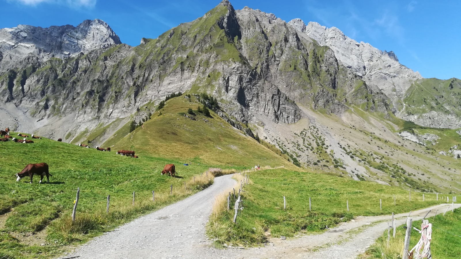 Col des Aravis