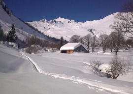 Balade en raquette sur le plateau de loex