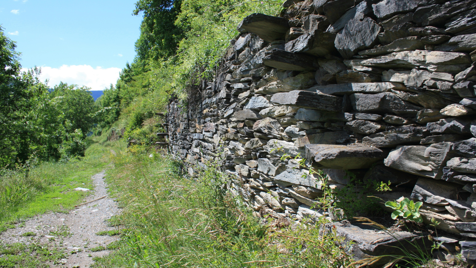 Sentier des Vignes - Bozel