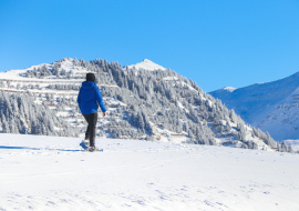 Guided snowshoe outing