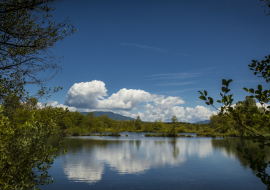 Espace Naturel Sensible de la Save - Secteur des étangs de Passins