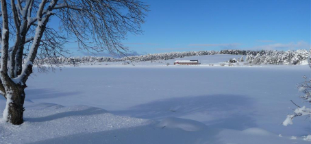 En hiver, sur fond de lac gelé