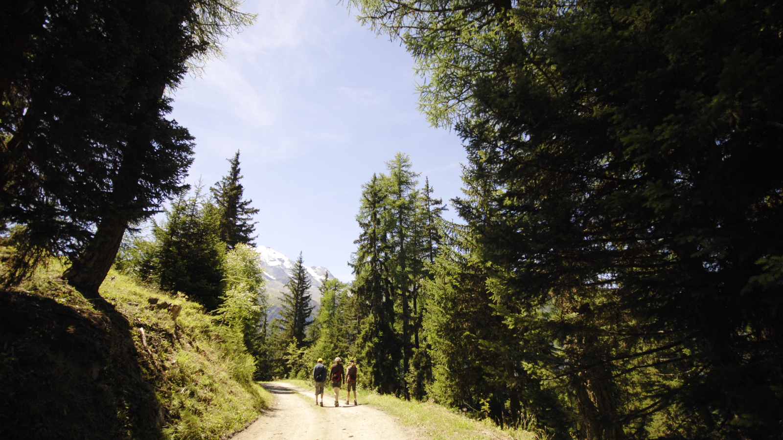 Chemin forestier vers Plan Bois