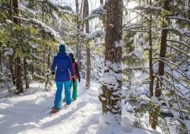 Balade en raquettes dans la forêt enneigée