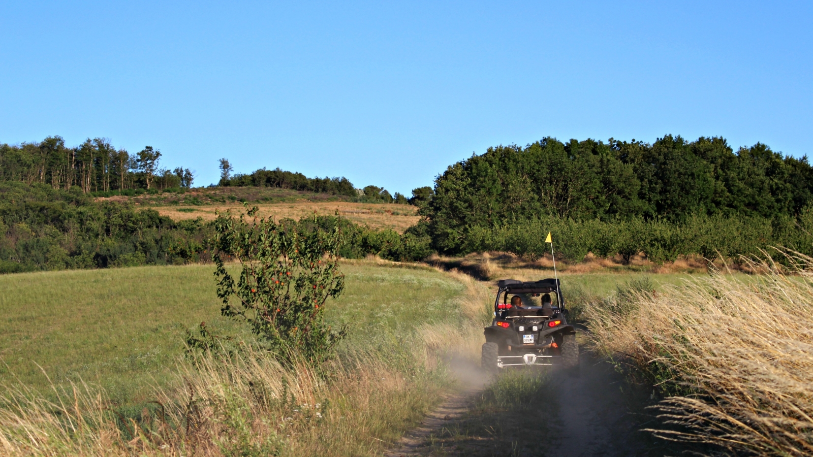 Balade en buggy autour de Bren