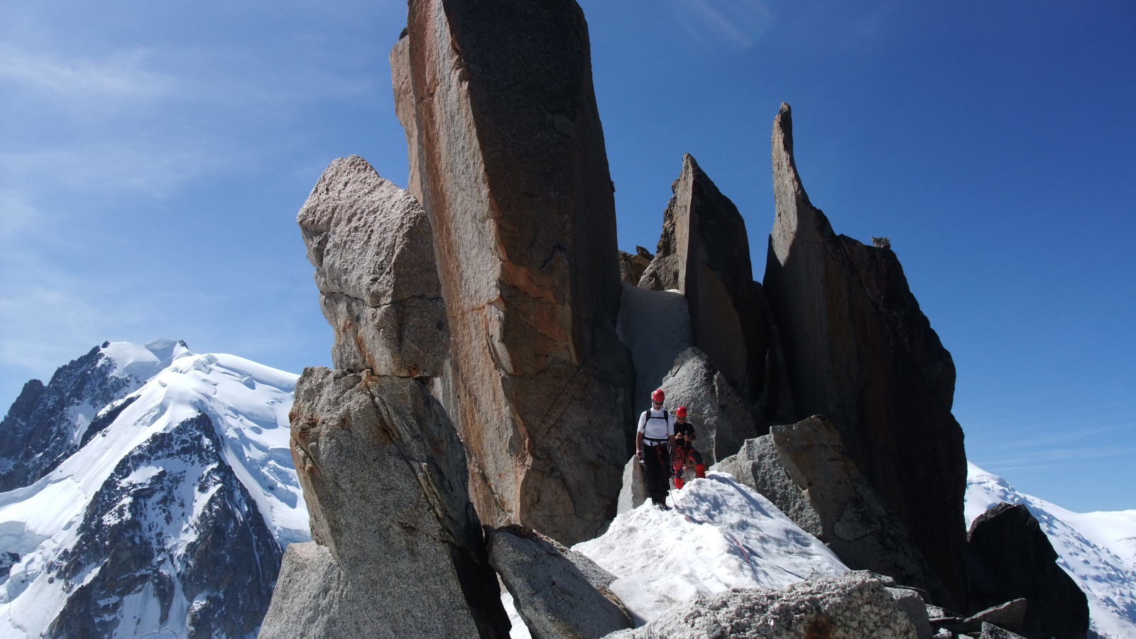 Cosmiques