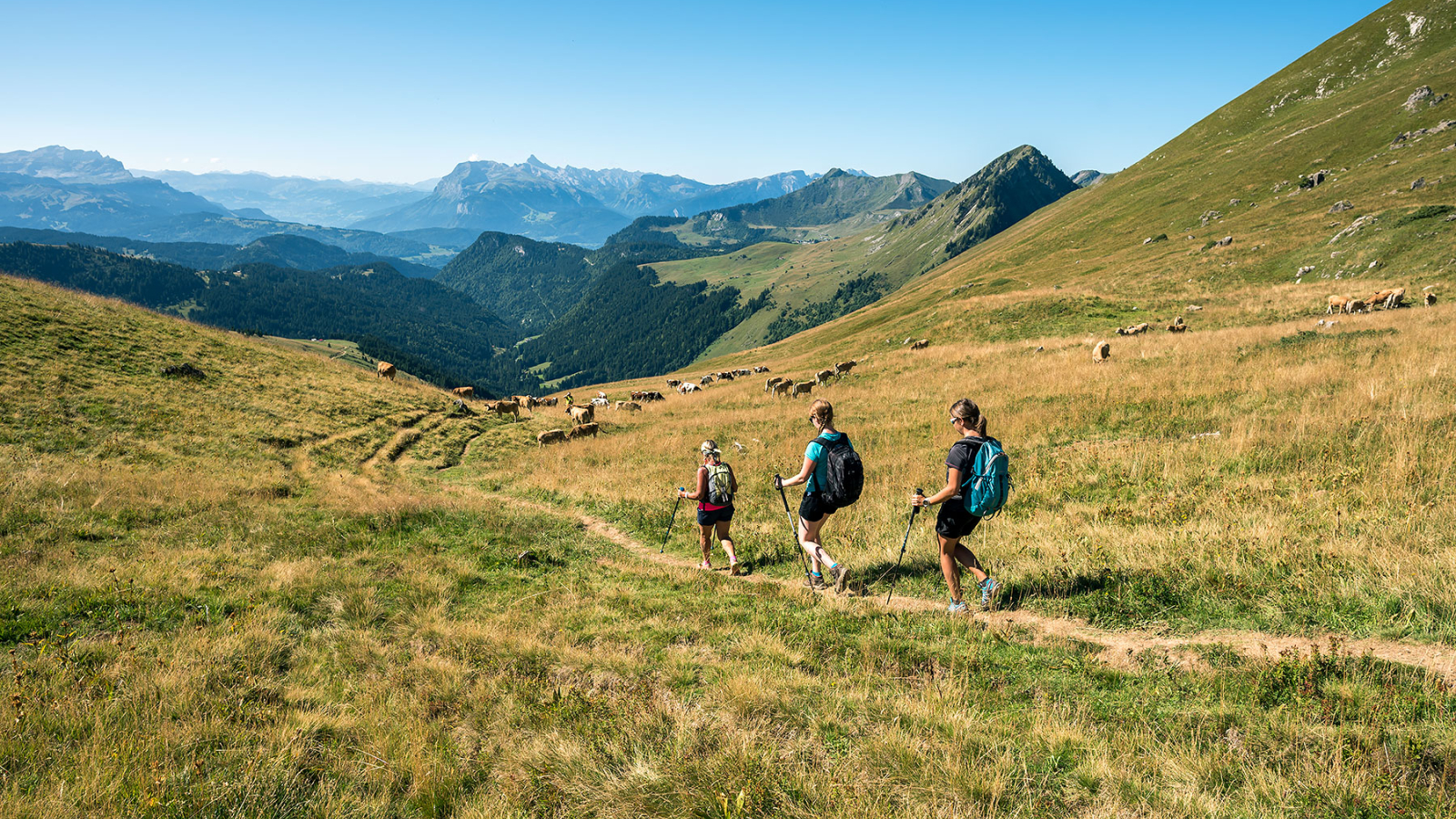 Randonnée au Col Ratti