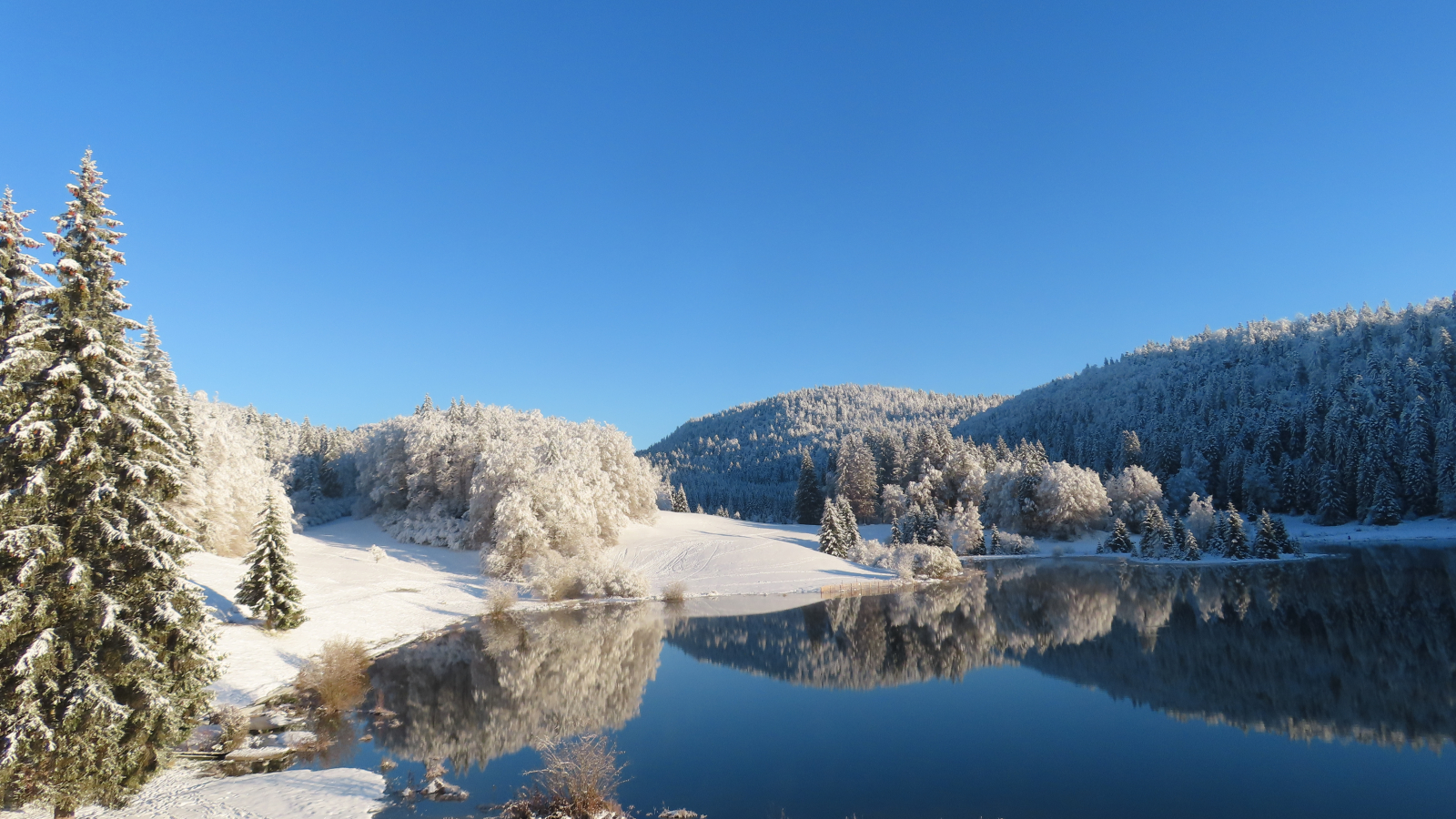 lac Genin