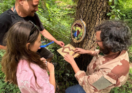 Enigme autour d'un arbre