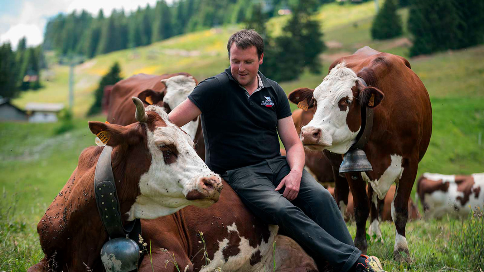 La Ferme de Seraussaix