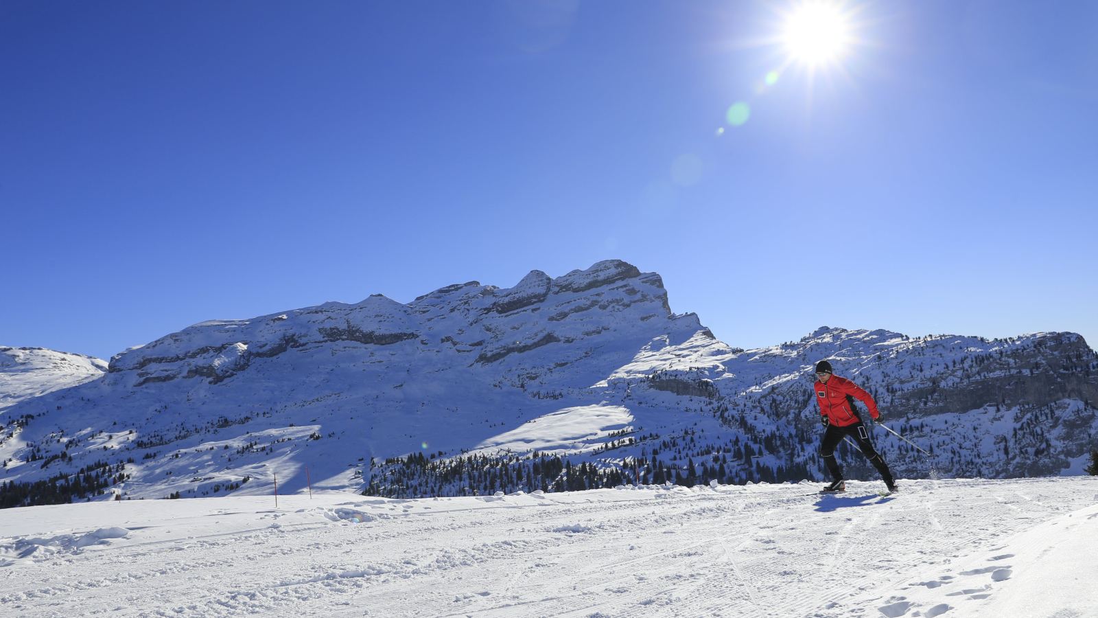 Skieur de fond