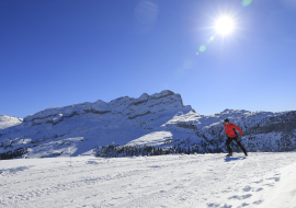 Skieur de fond