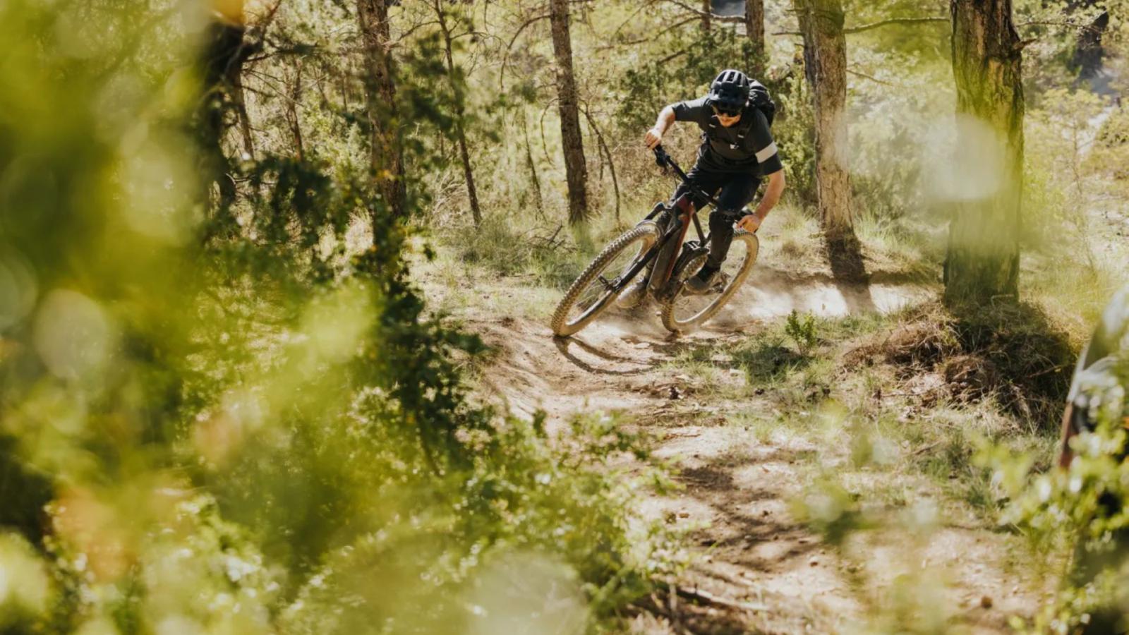 Lalevade Ardèche et Thueyts - Location Ebike pour descente vtt en roue libre