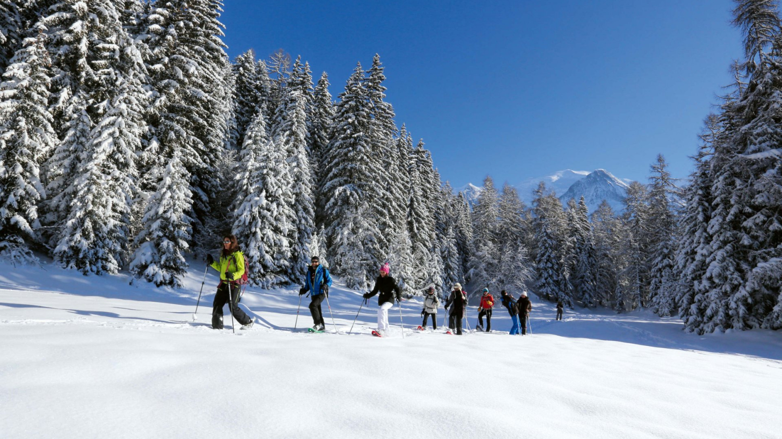 Groupe qui marche dans la neige en raquettes