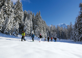 Groupe qui marche dans la neige en raquettes