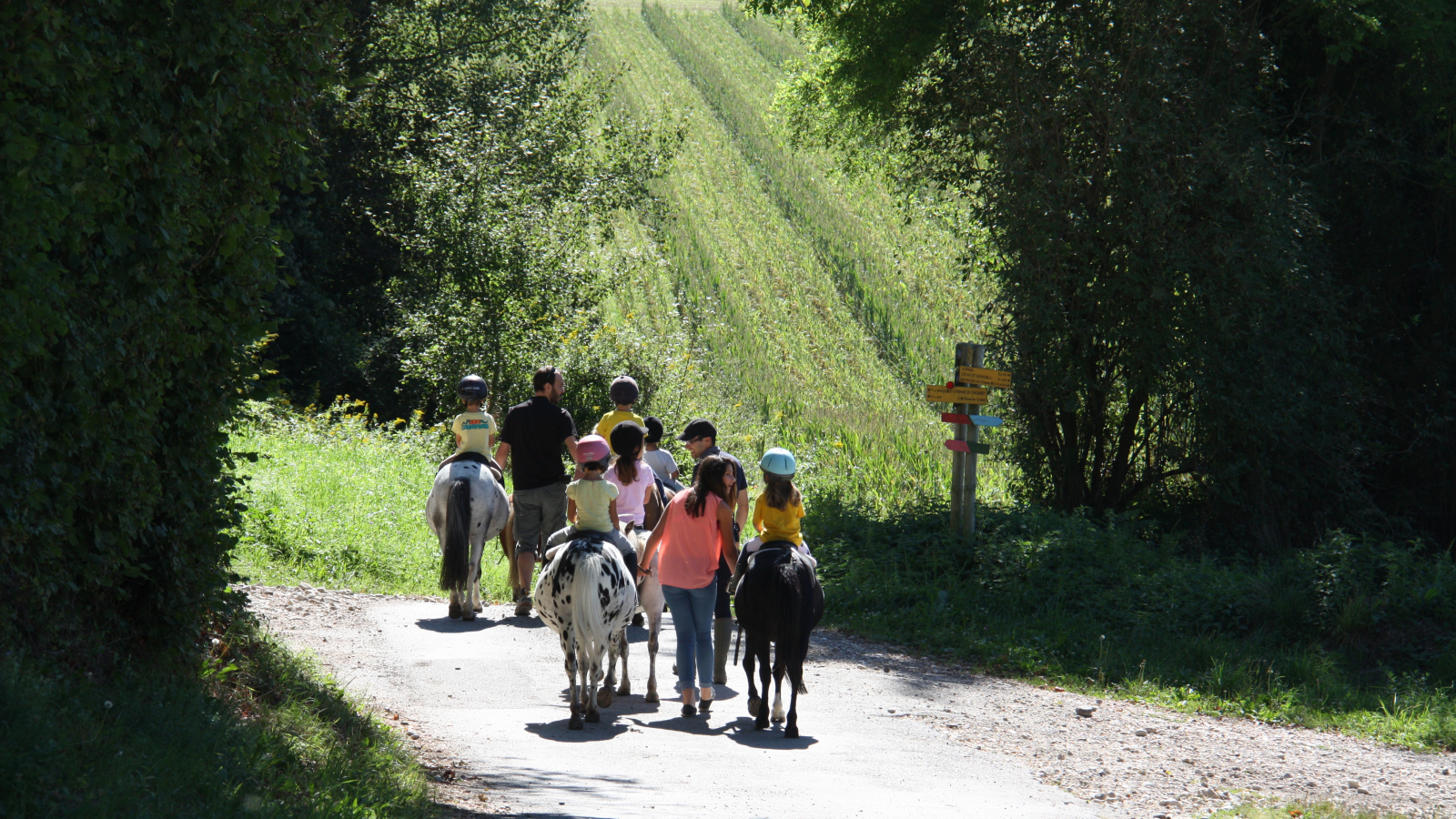 Equitation aux Ecuries de Crossey