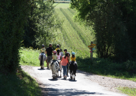 Equitation aux Ecuries de Crossey