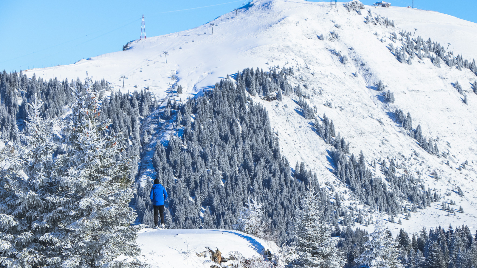 Guided snowshoe outing at the Nordic Walking Area