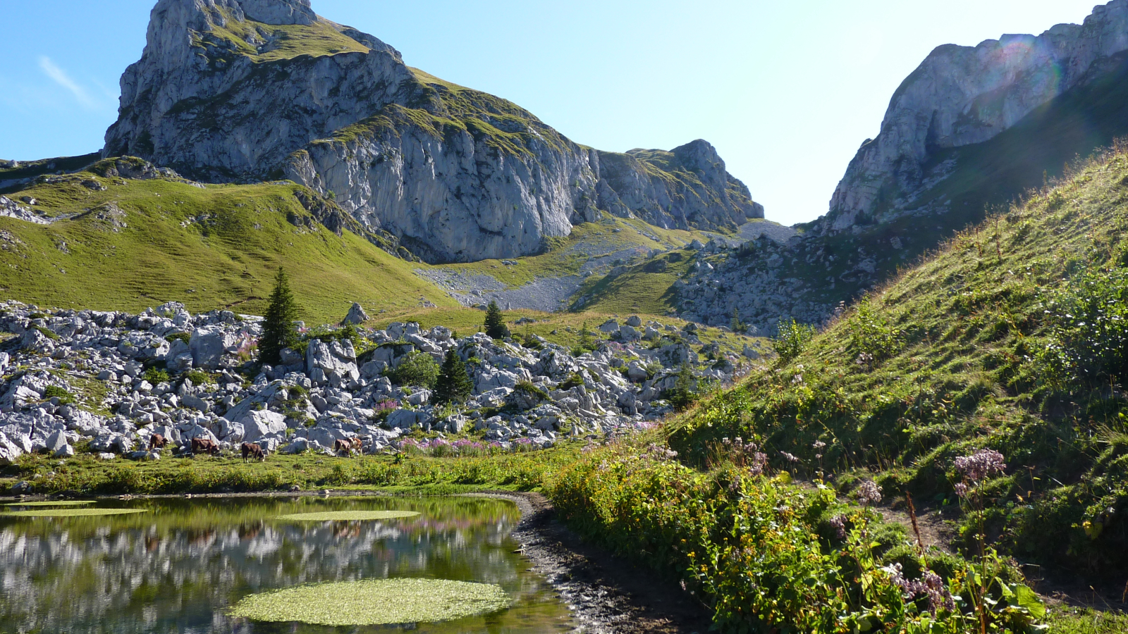 vue sur le Châteu d'Oche depuis le lac de la case