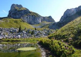 vue sur le Châteu d'Oche depuis le lac de la case