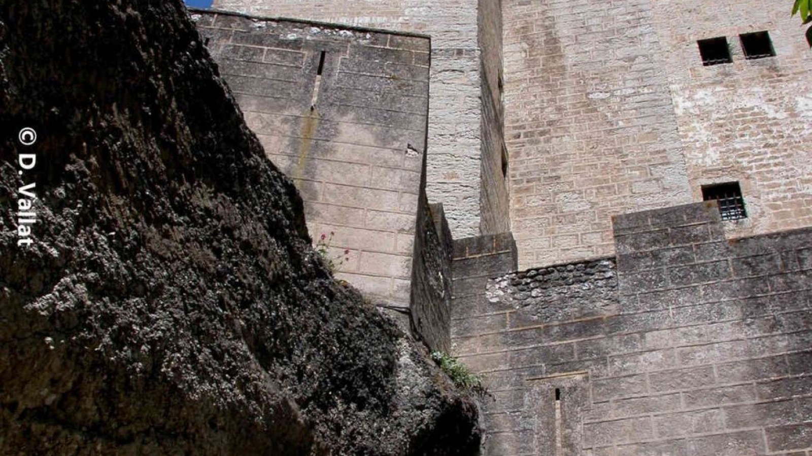 Tours et détours au pied de la tour