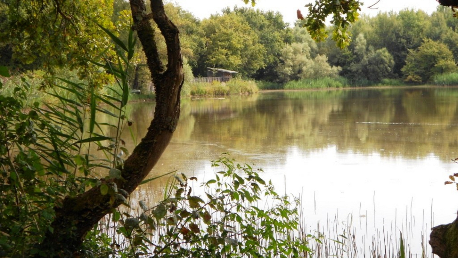 Vue sur l'Etang Grange Volet