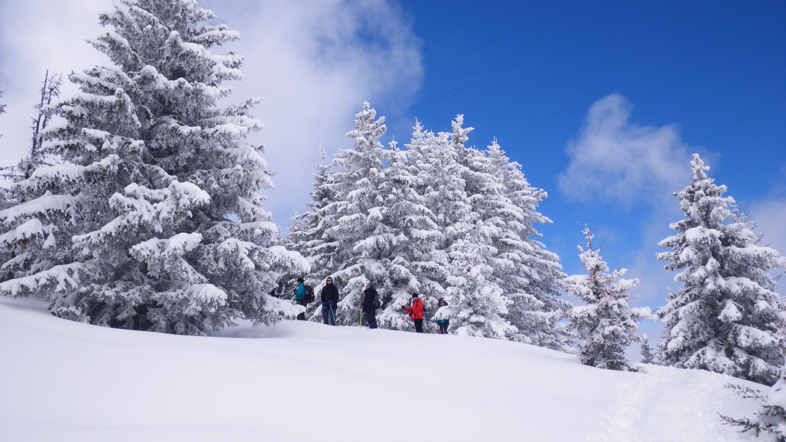 Snowshoeing in Cordon