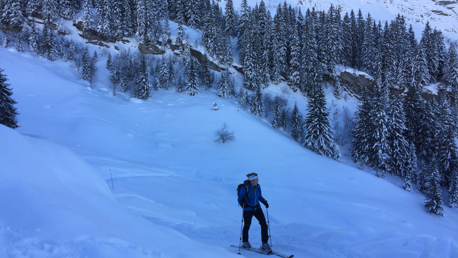 Ski de randonnée