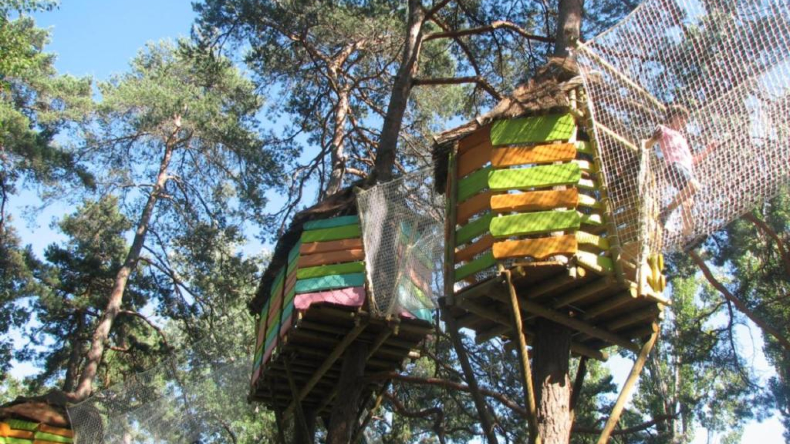 cabanes dans les arbres