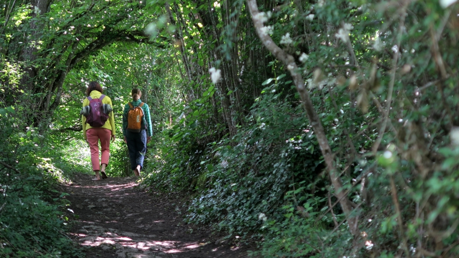 bain de forêt en Bauges