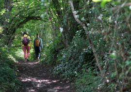 bain de forêt en Bauges