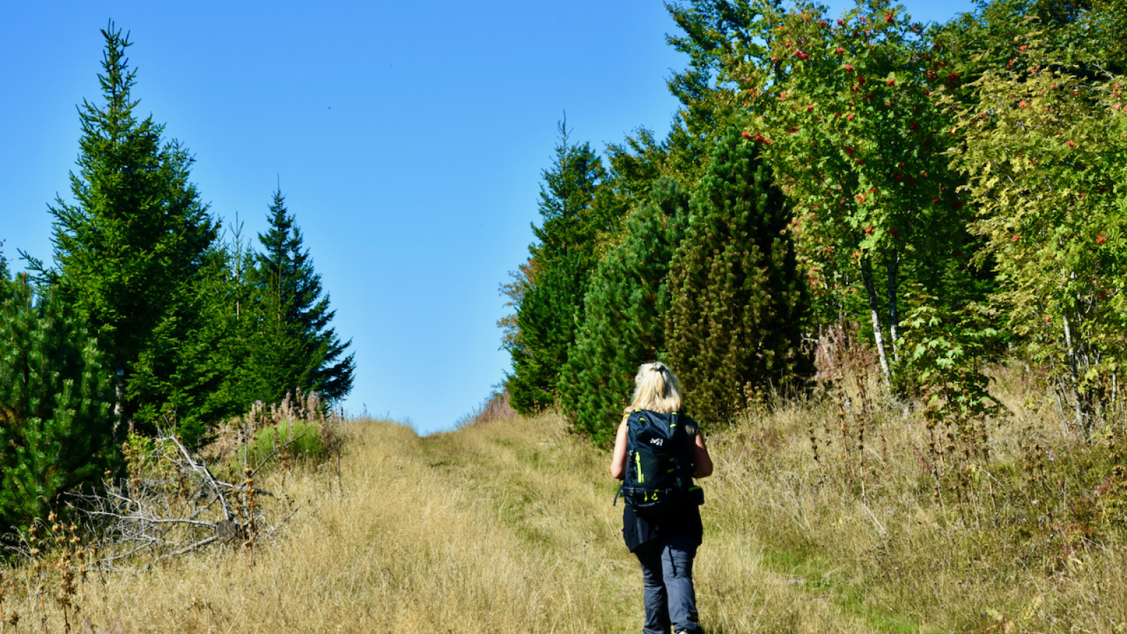 Randonnée dans le massif du Mézenc