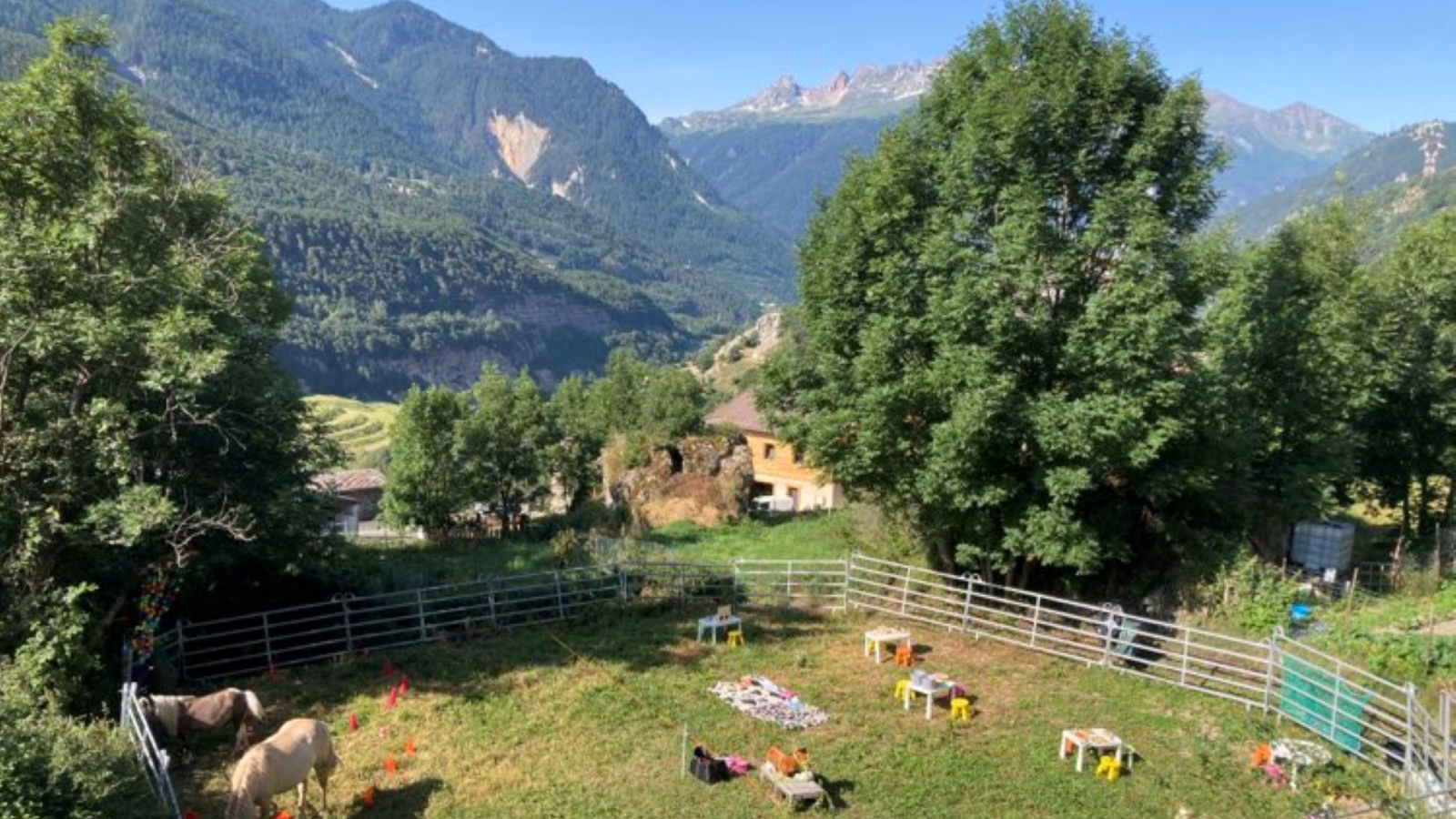 The meadow with ponies and play tables