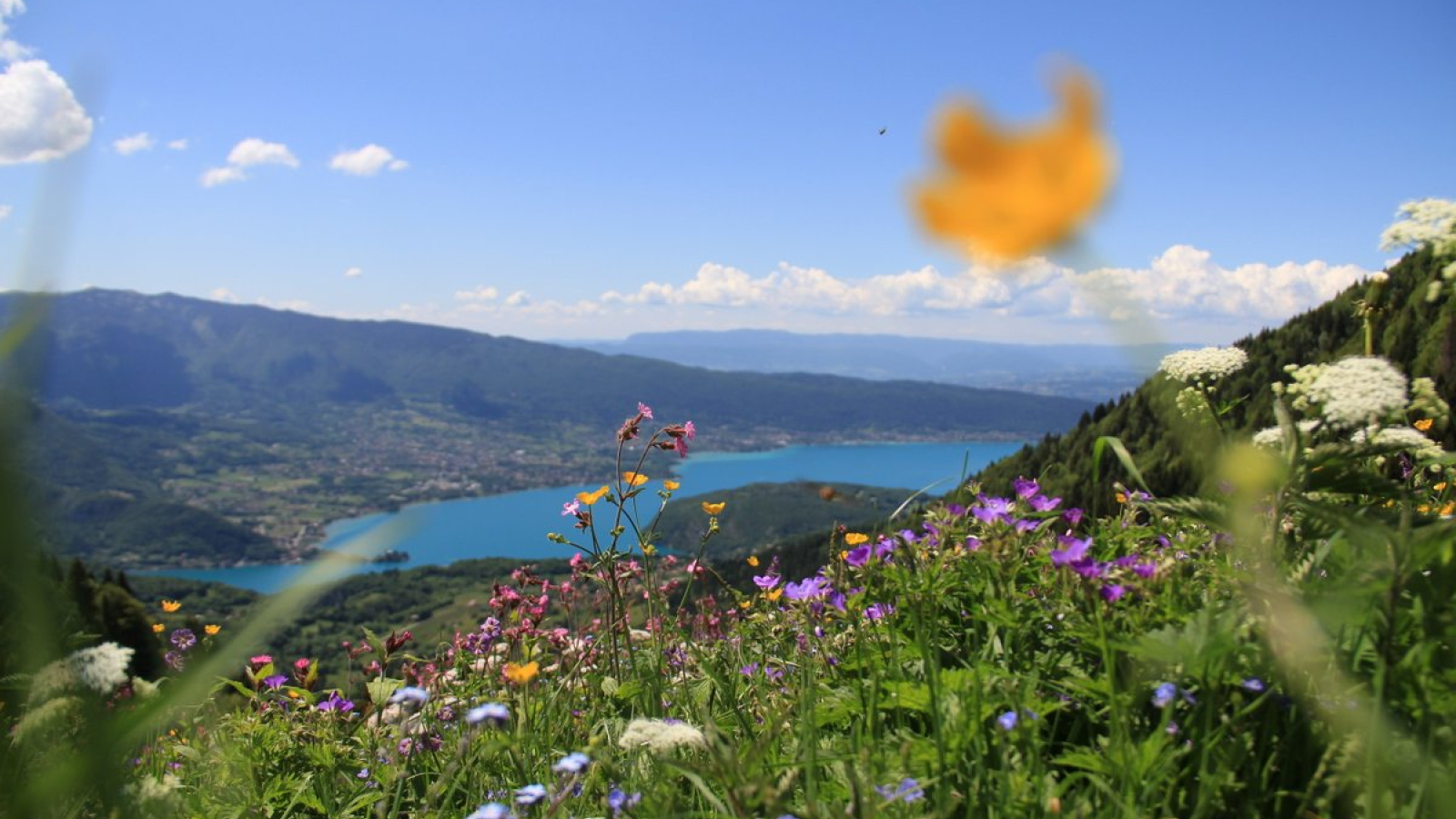 view lake Annecy