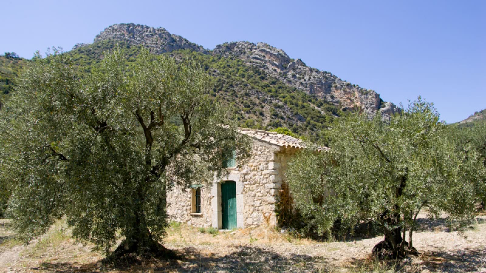 Découverte en duo de la Drôme provençale : à vélo électrique au pays de l'olive