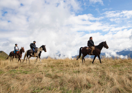 balade et randonnées à cheval