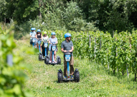 Groupe de personnes en train de faire du gyropode au milieu des vignes en plein été