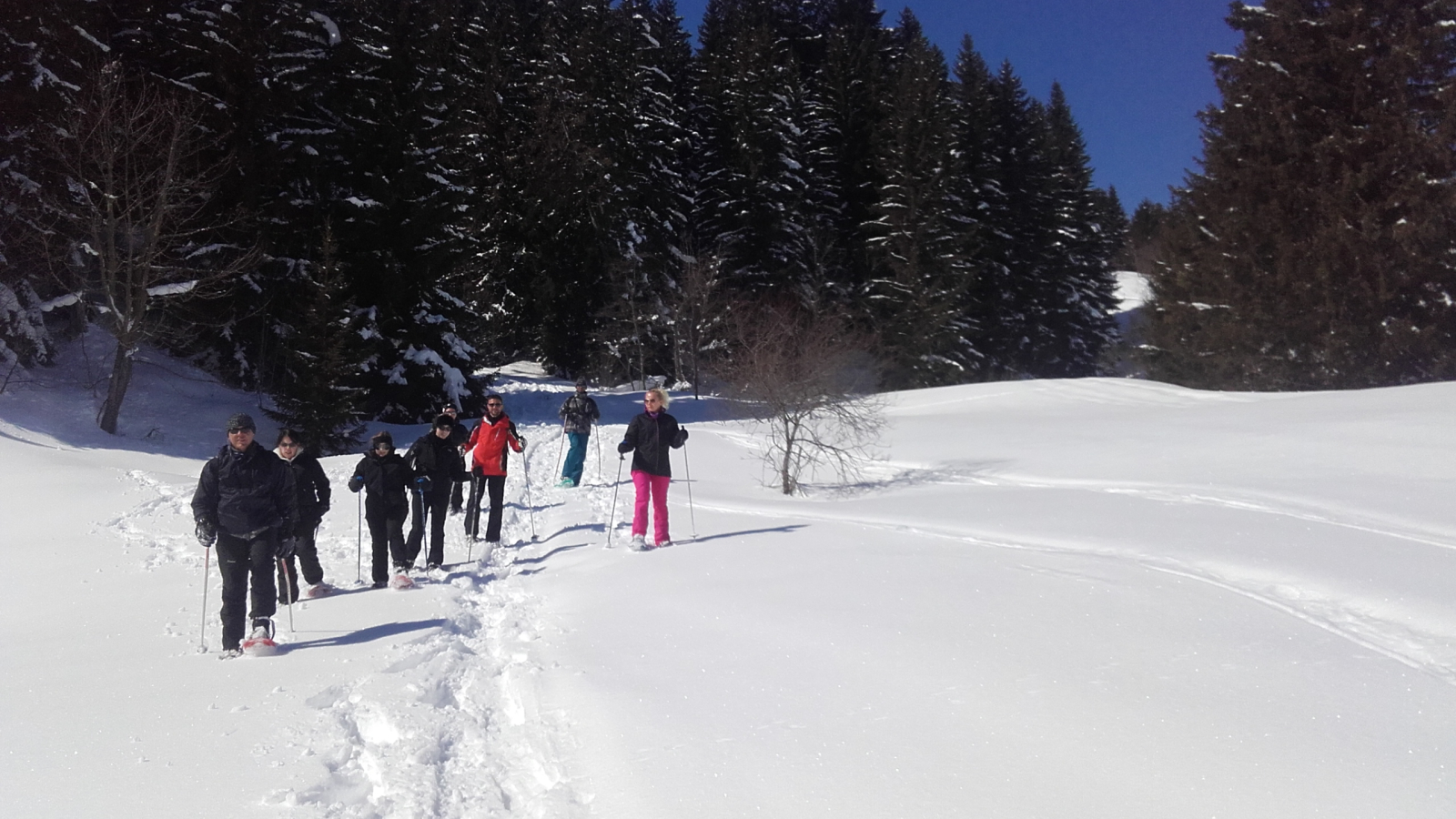 Descente ludique à travers bois