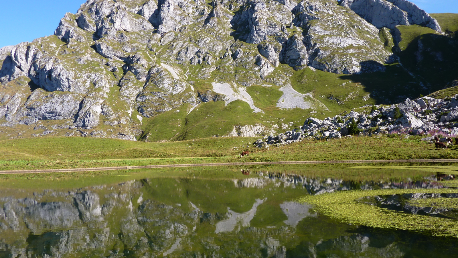 vue sur la Dent d'Oche