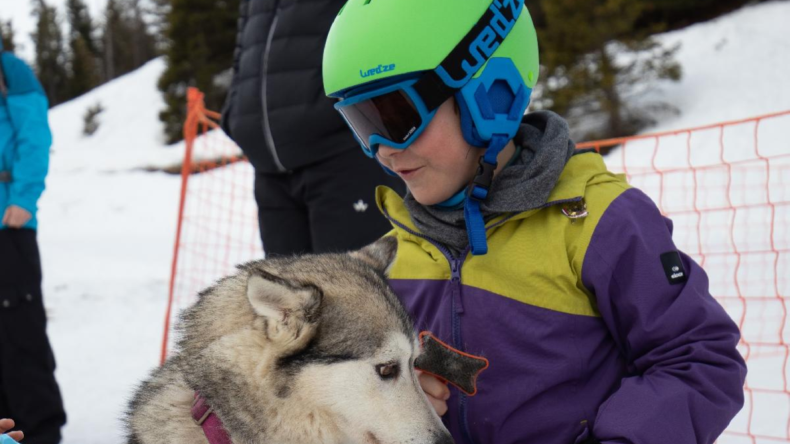 Enfant chien de traineau