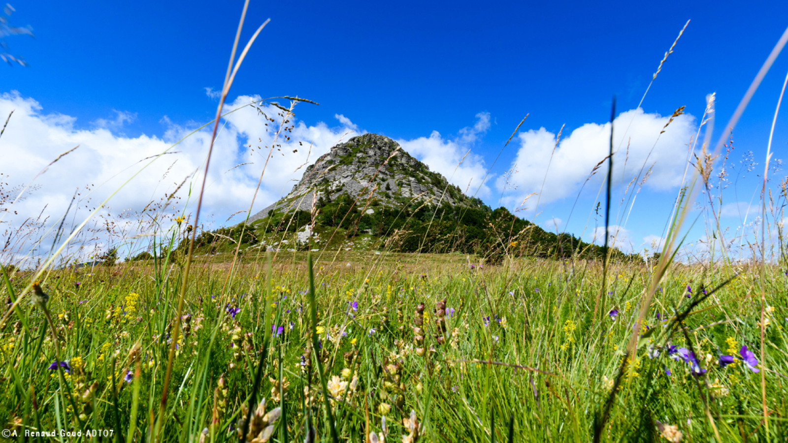 Mont Gerbier des Joncs 2