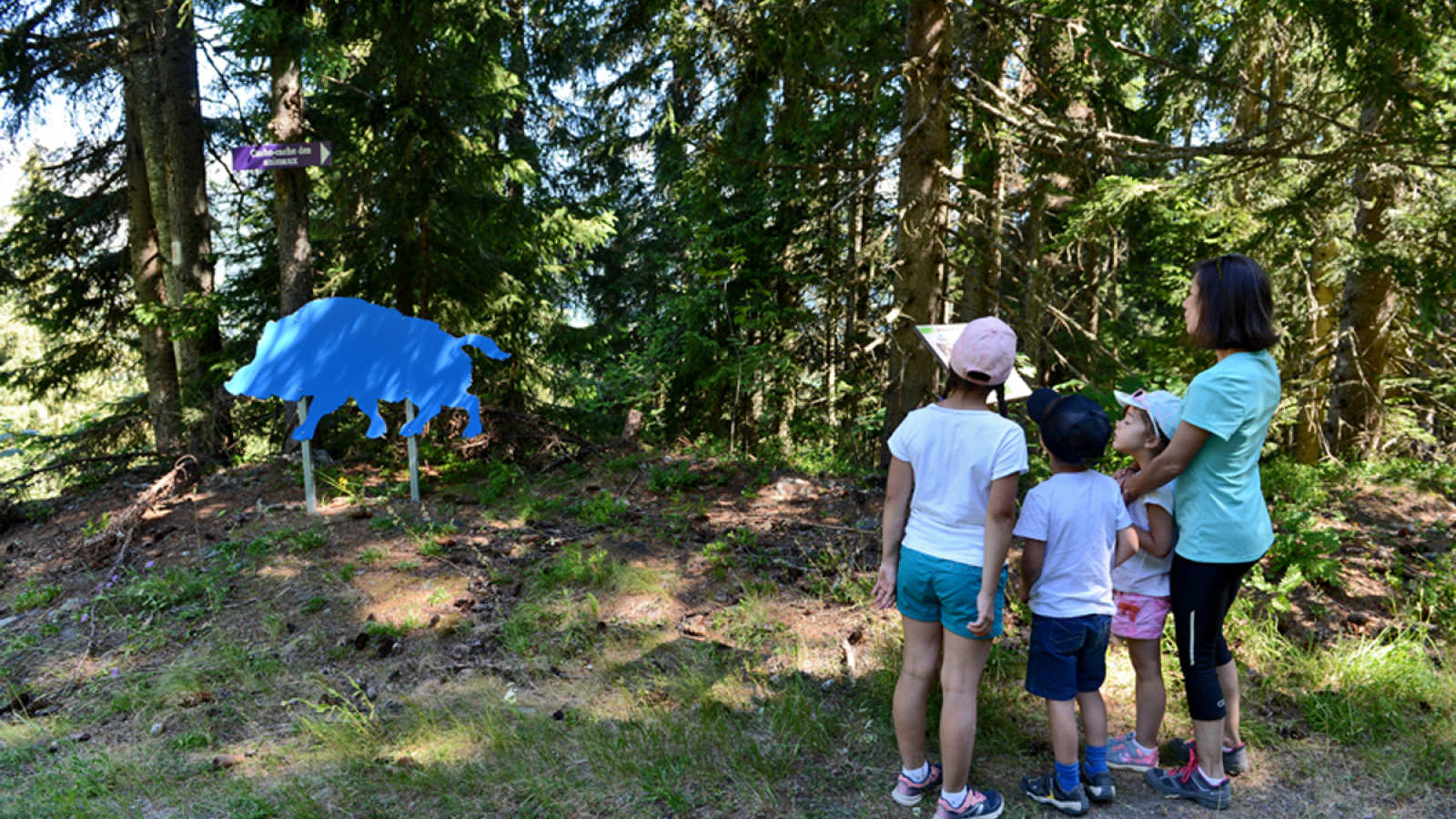 Parcours Cache-Cache des Animaux