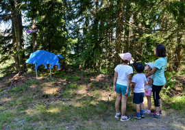 Parcours Cache-Cache des Animaux