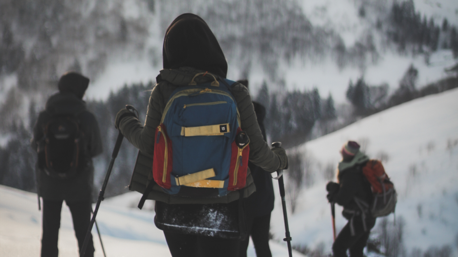 Magical Snow Treks