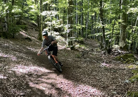 Descente en VTT