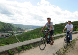 Vélo électrique dansles vignes