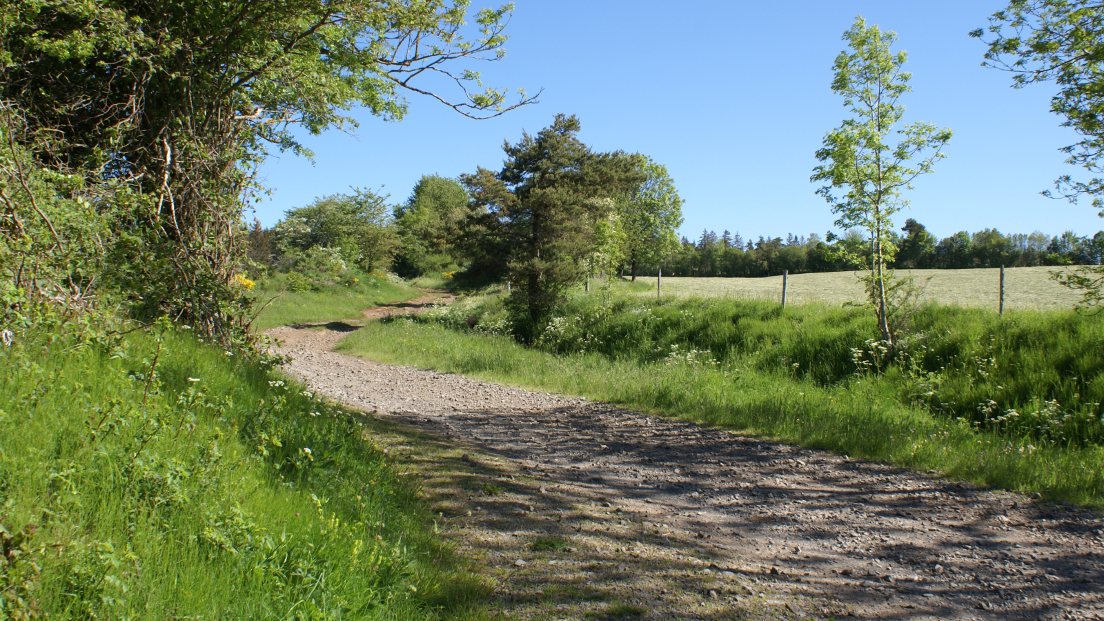 Piste VTT vers le Bois de Chabridet