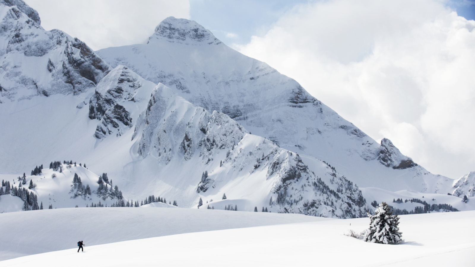 Snowy plateau